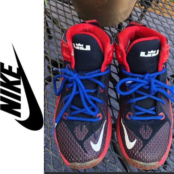 Nike Other - Kids Lebron James 12 GS(kids)